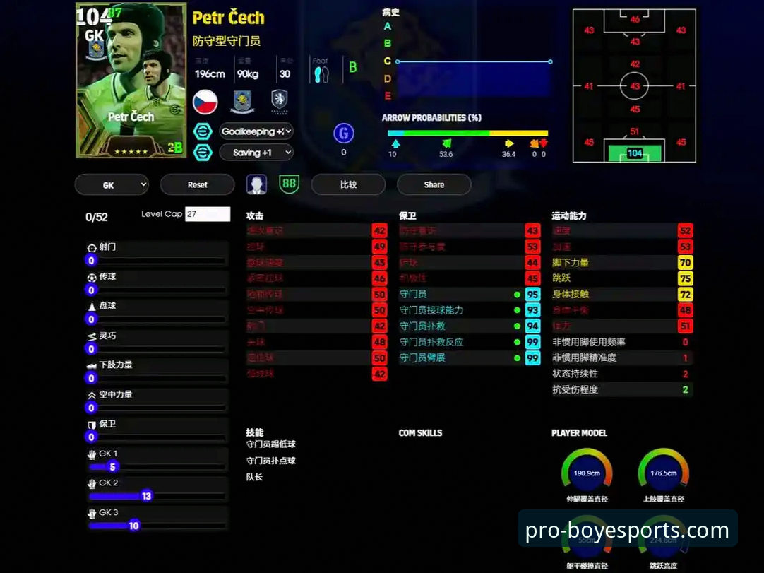 如何通过专业体育平台深度解析阿根廷队的技术性大胜？
