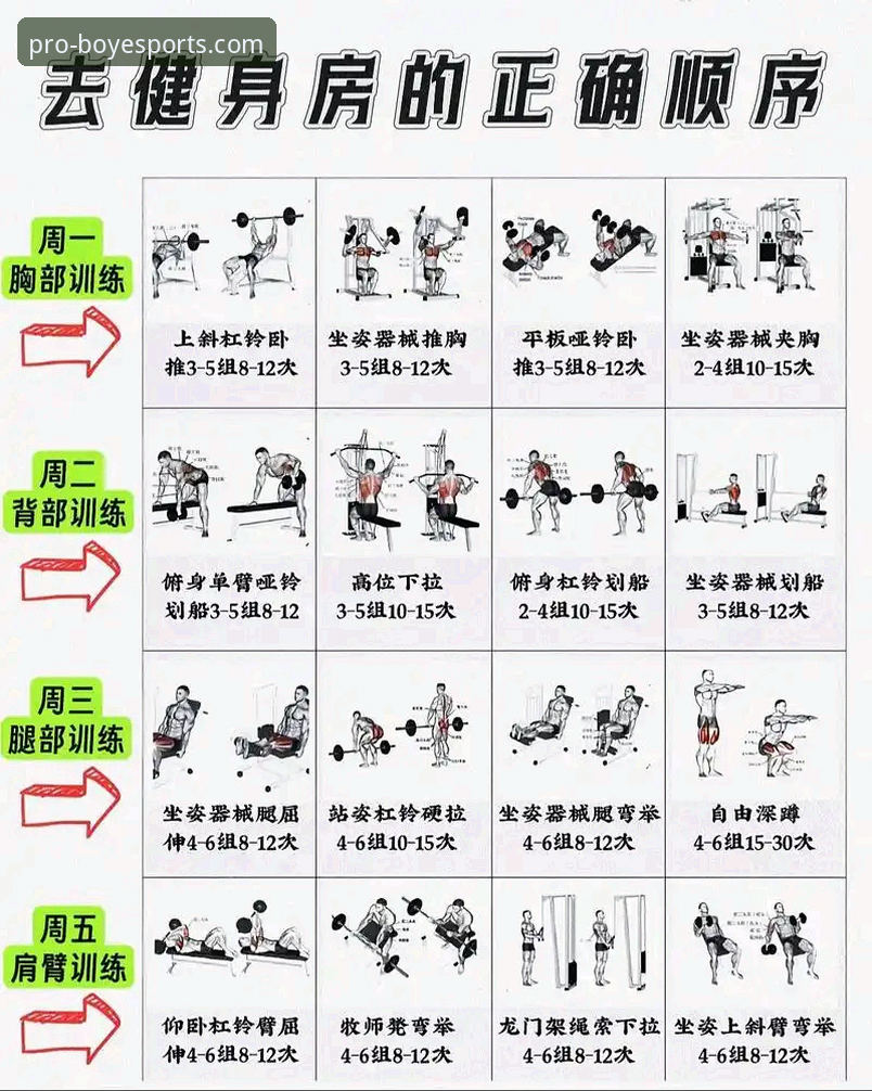 博业体育健身指导推荐 博业体育健身指导推荐 vs 传统健身方法:哪个更适合新手开启科学训练?